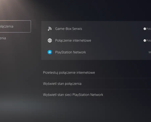 PS5 ustawienia siec stan polaczenia menu